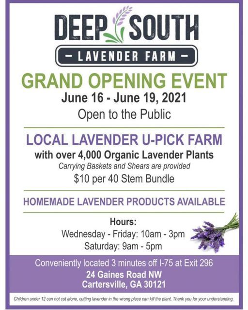 Deep South Lavender Farm Grand Opening
