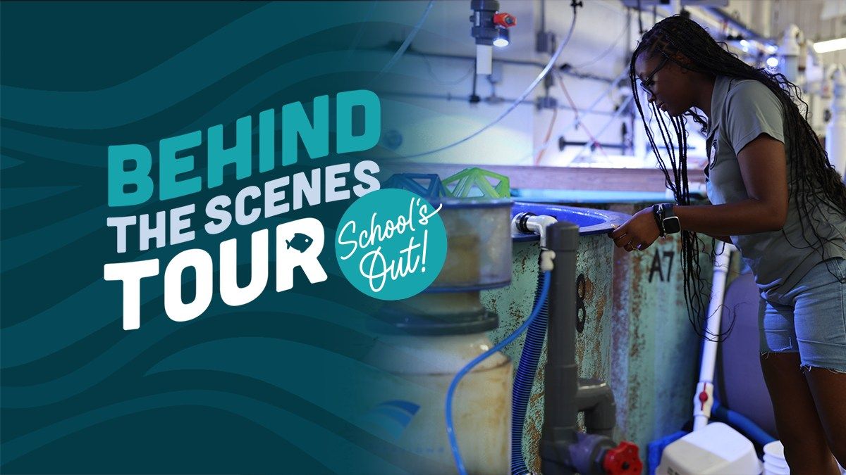 School\u2019s Out: Behind-the-Scenes Tour