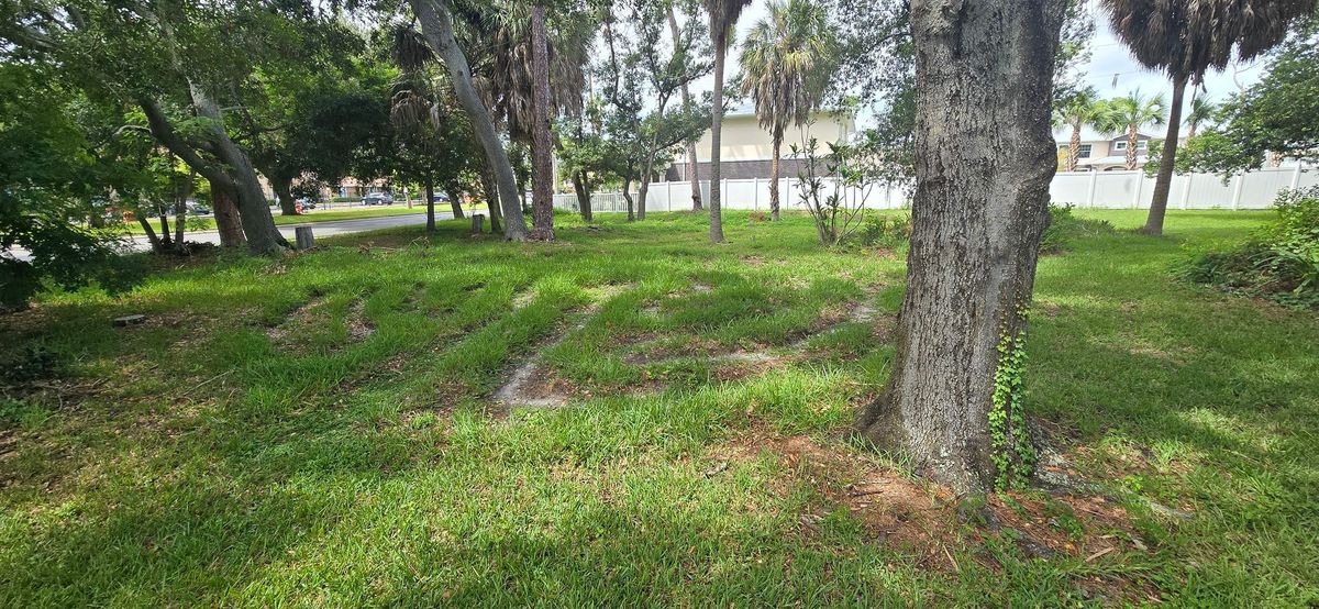 Wednesday Morning Labyrinth Walk