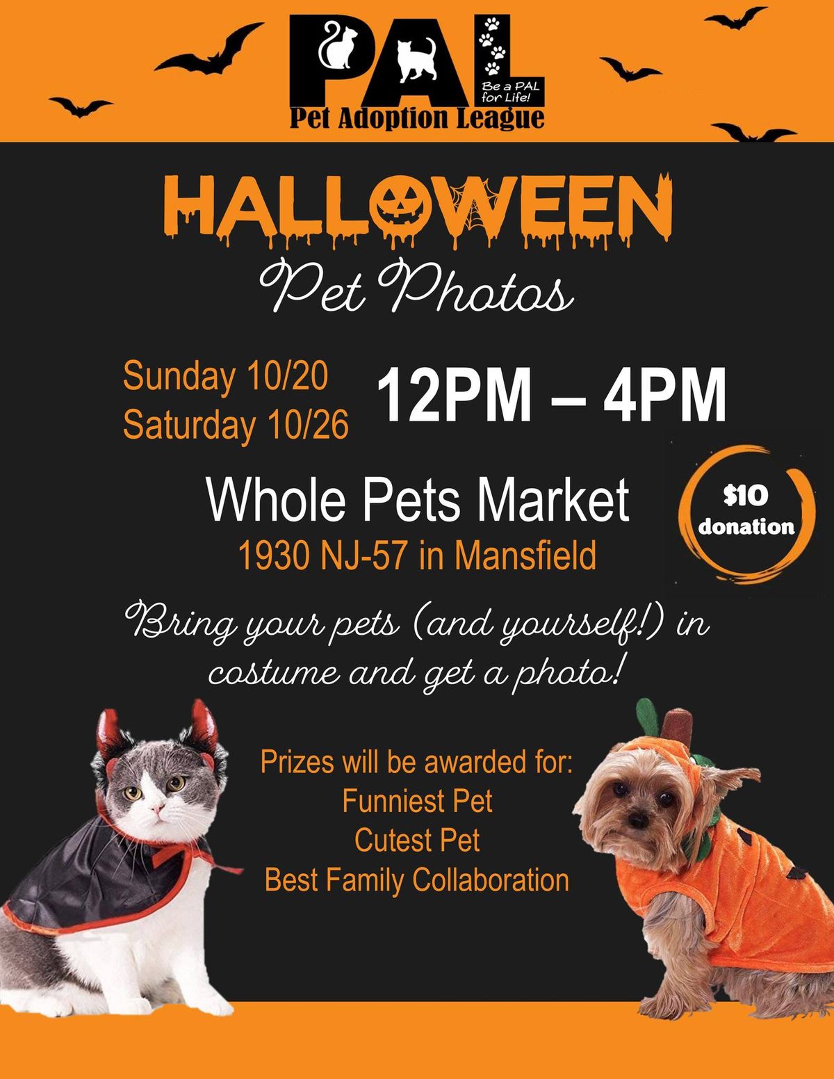 PAL Halloween Pet Photos