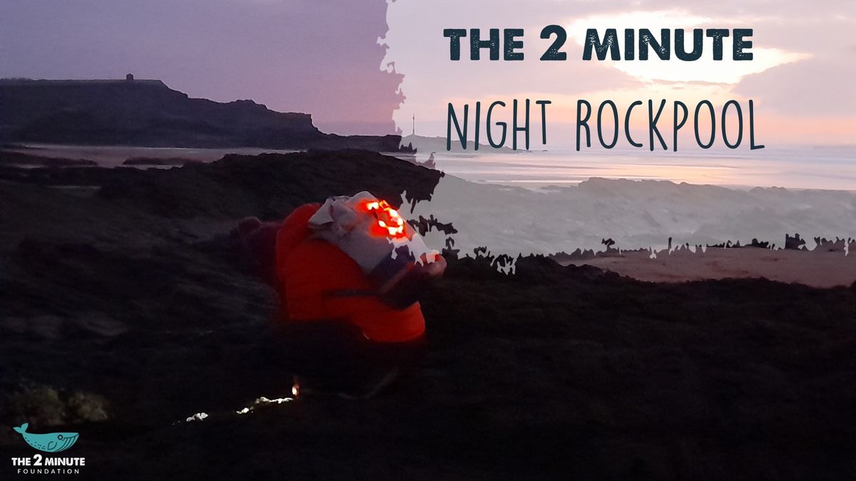 Night Rockpooling