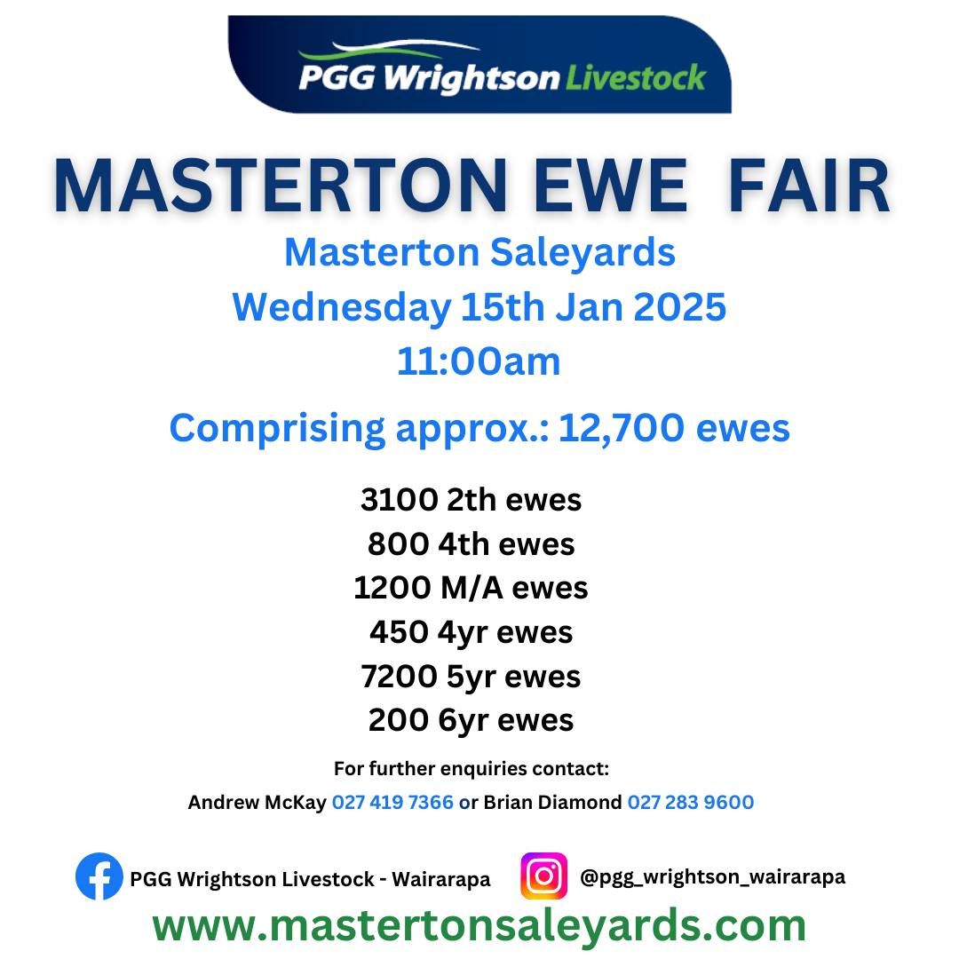 MASTERTON EWE FAIR 