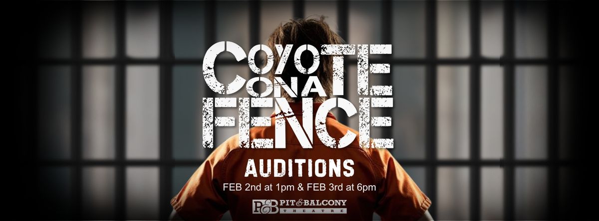 AUDITIONS - Coyote on a Fence