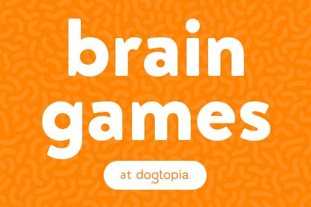 Brain Games