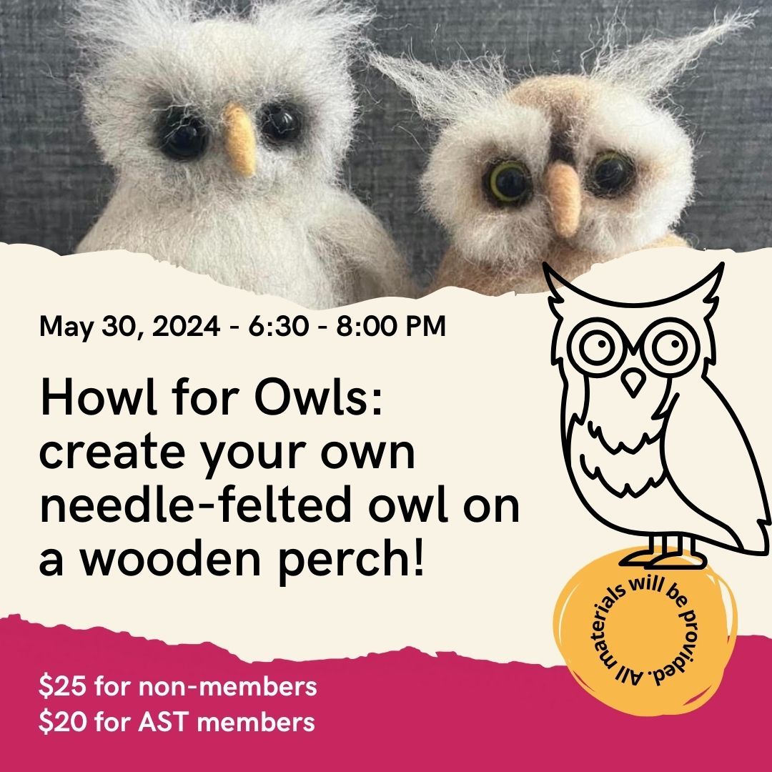 Howl for Owls: Needle Felting Workshop