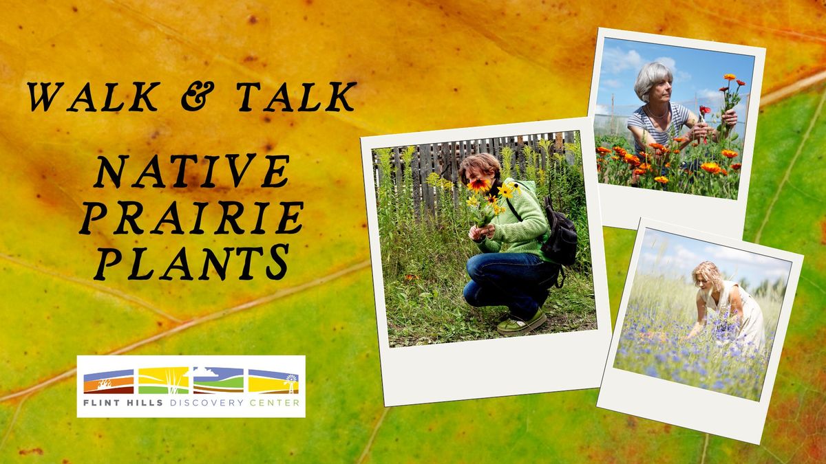 Walk & Talk: Native Prairie Plants