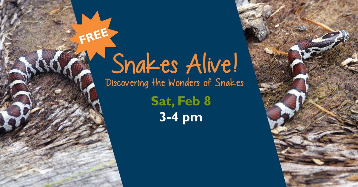 Snakes Alive! Discovering the Wonders of Snakes