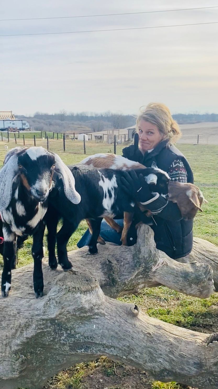 March Break - Family Fun on the Farm Specials