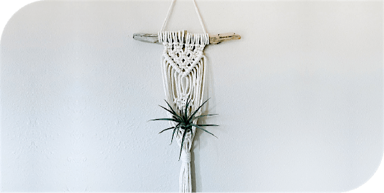 Macram\u00e9 Air Plant Holder Workshop