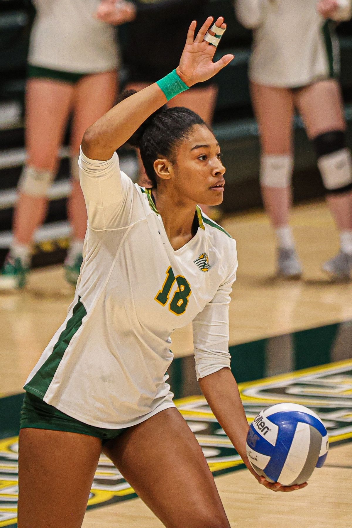 UAA Volleyball hosts Northwest Nazarene