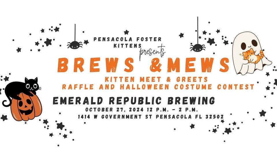 Brews & Mews Halloween Adoption Event