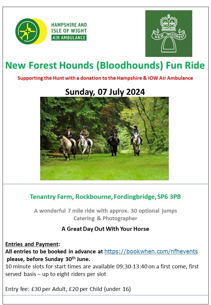 New Forest Hounds (Bloodhounds) Fun Ride