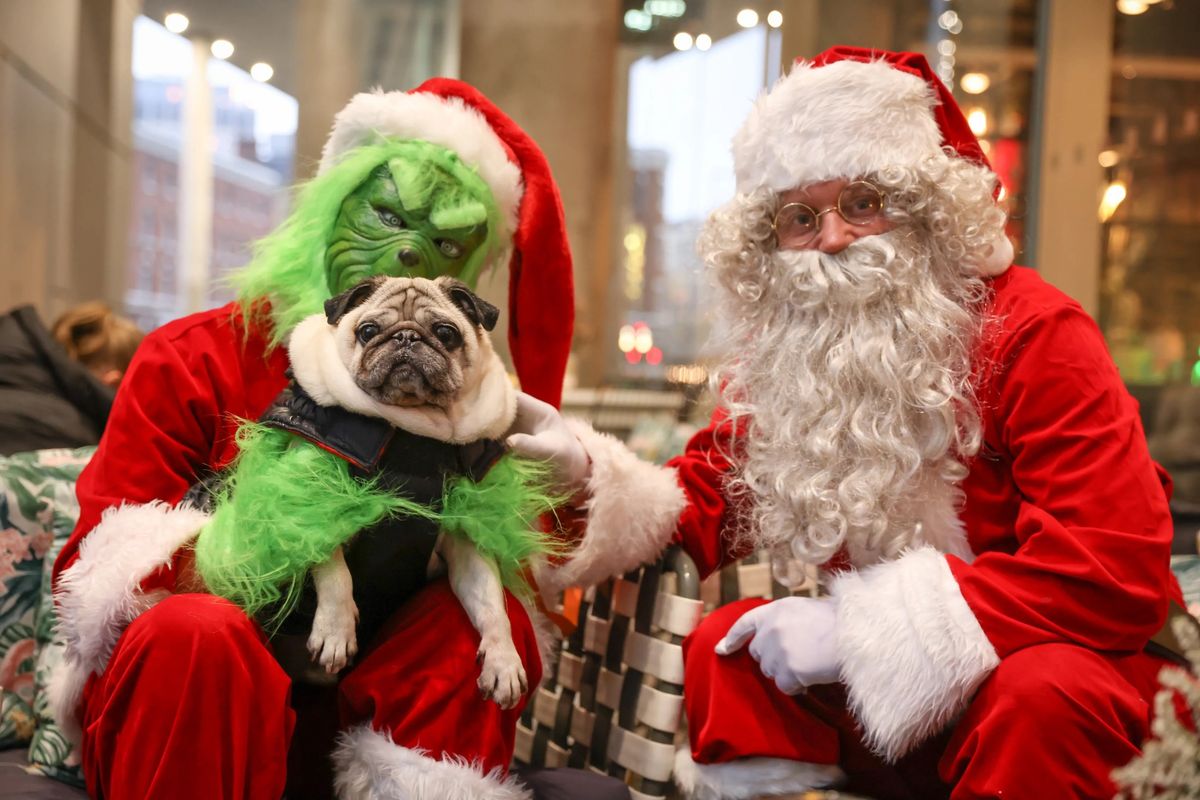 PUG CAFE\u2122 LONDON - CHRISTMAS