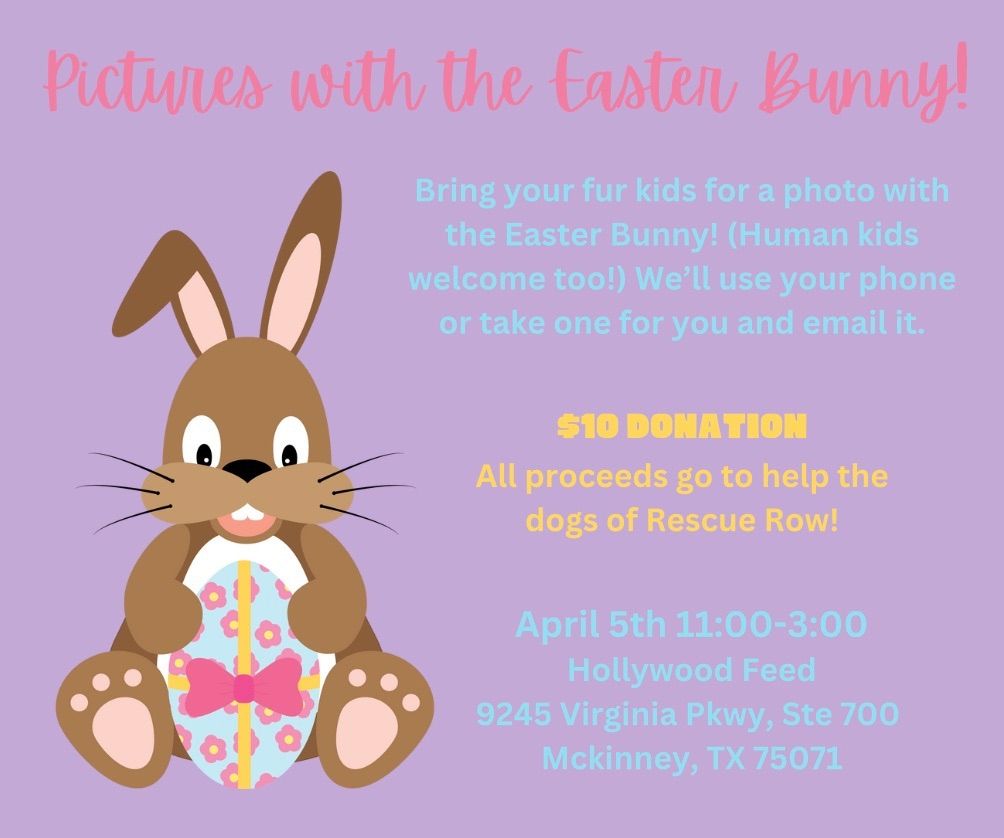 Pictures with the Easter Bunny!