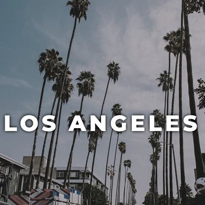 DAVINE EXPEDITIONS - LOS ANGELES