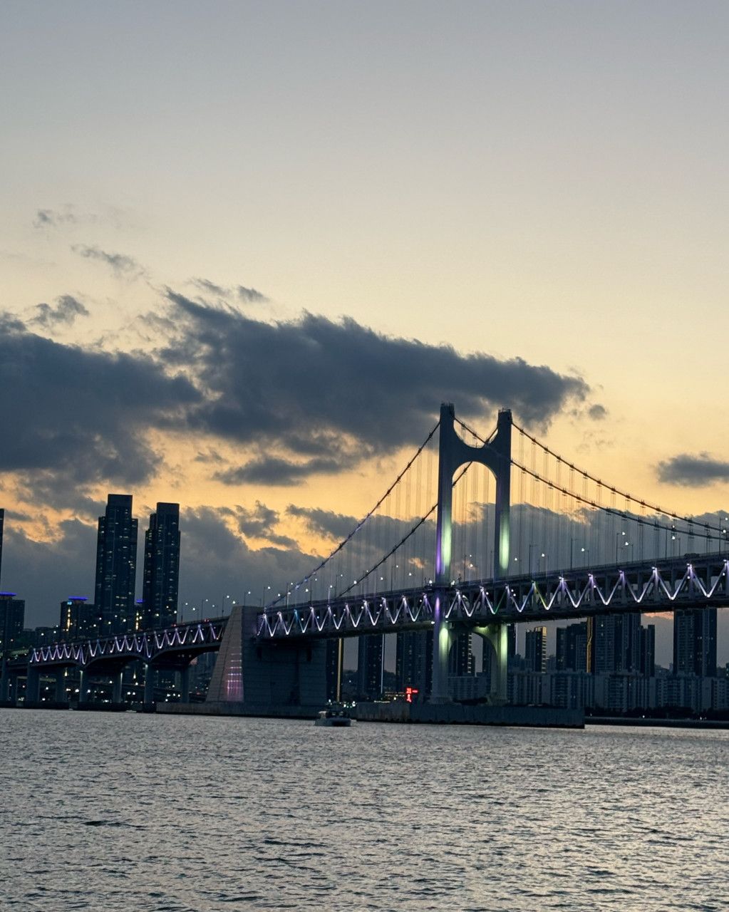 Busan Yacht Tour