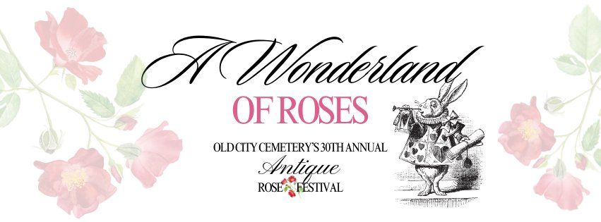 30th Annual Antique Rose Festival