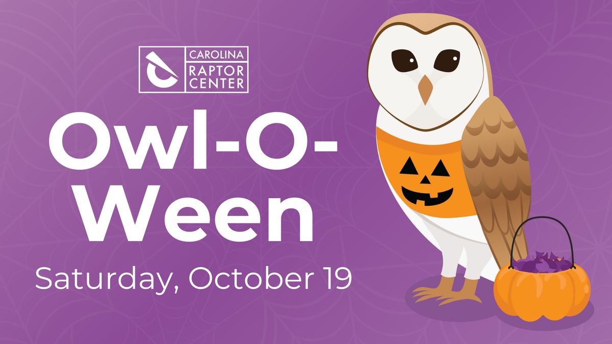 Owl-O-Ween