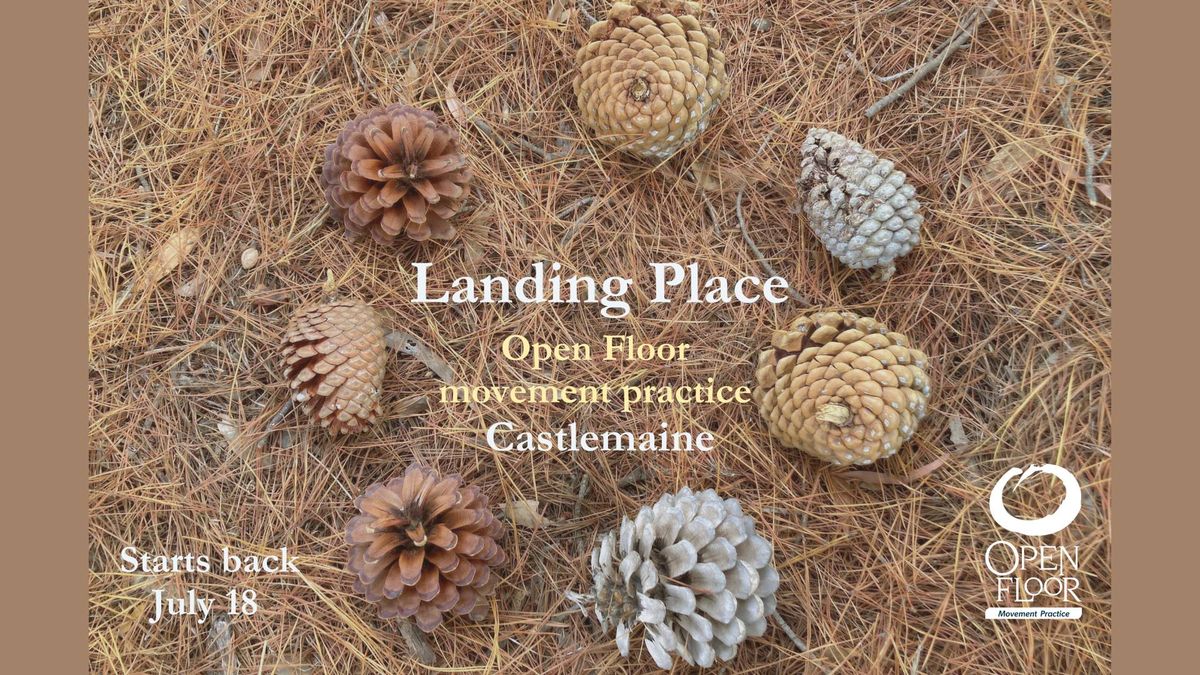 Landing Place - Open Floor movement class, Castlemaine