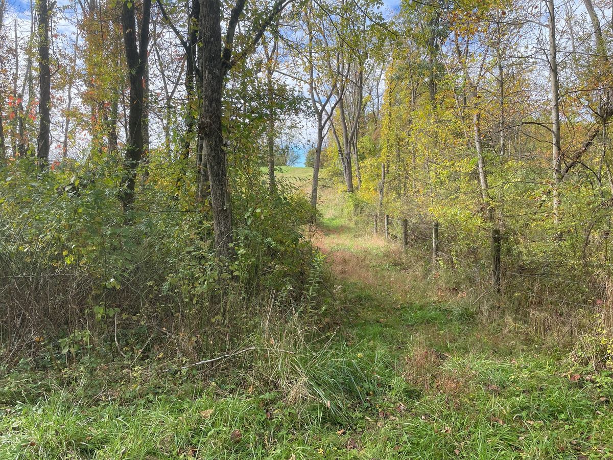 Applying tools of Chestnut Restoration to Other Threatened Species