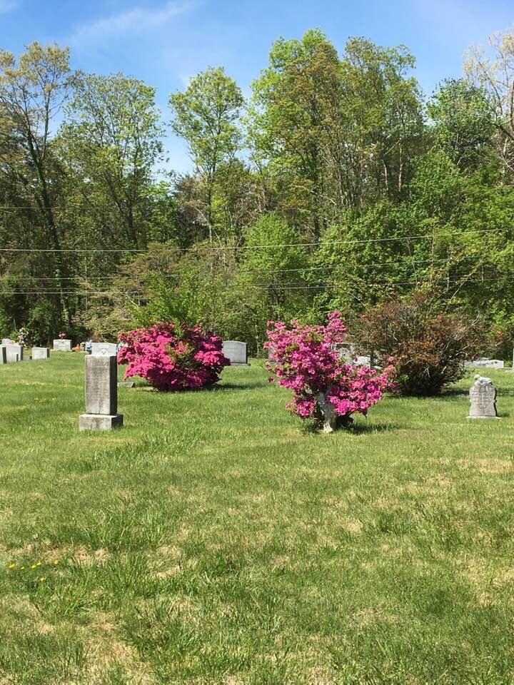 Mt Olive Cemetery Clean Up