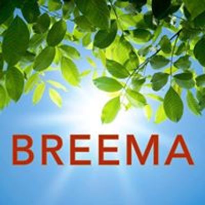 The Breema Center
