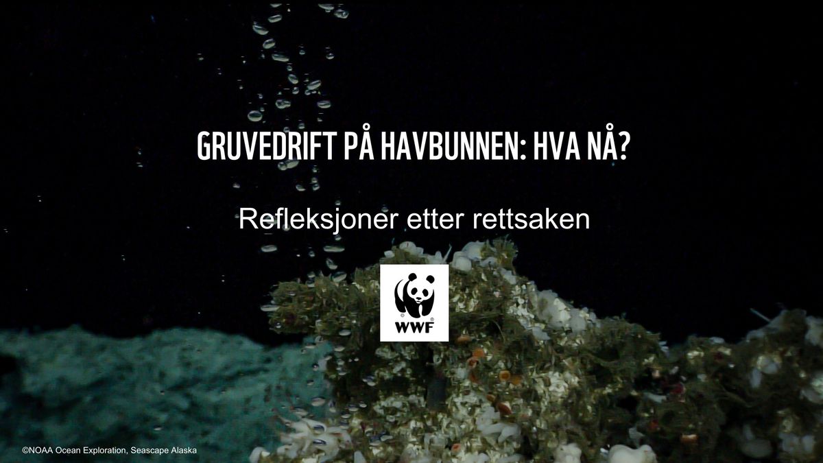 Gruvedrift p\u00e5 havbunnen: Hva n\u00e5? Refleksjoner etter rettsaken