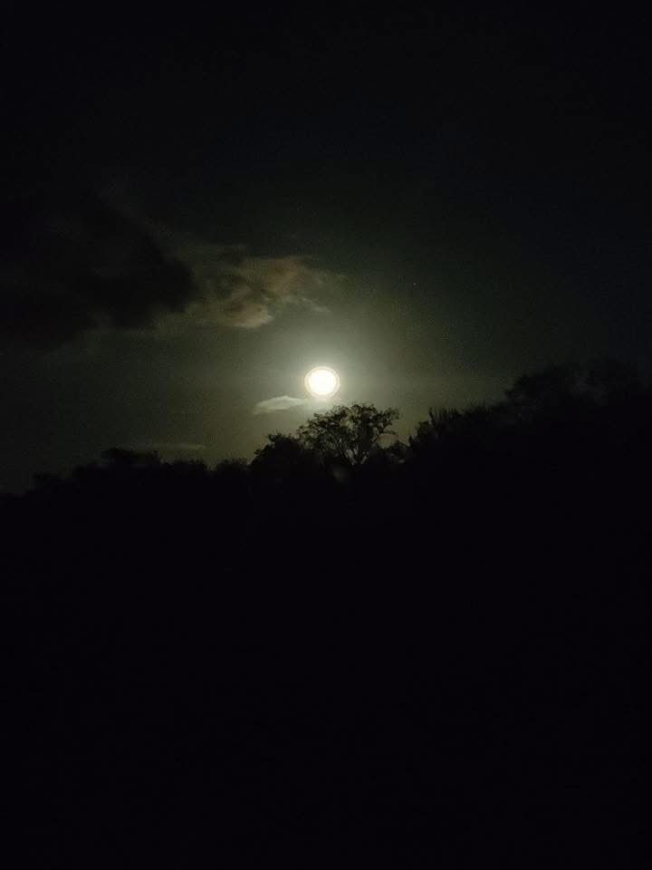 Full moon