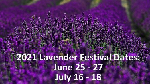 Lavender Festival 2021 English Lavender Farm Wilderville 25 June 2021 Lavender Festival 2022 Blacksburg Va