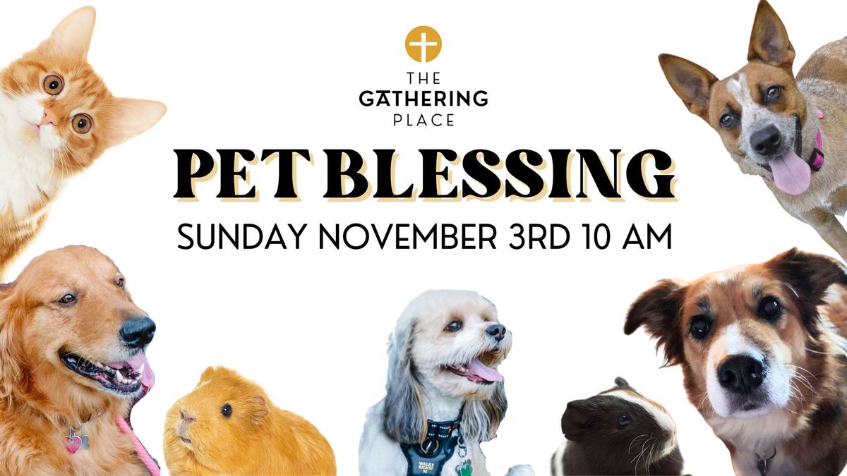 Pet Blessing