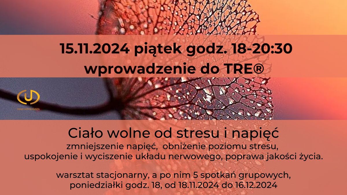 Warsztat Wprowadzaj\u0105cy do TRE