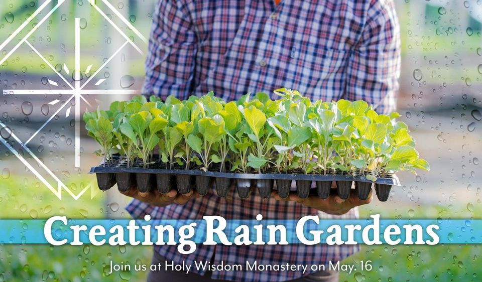 Creating Rain Gardens