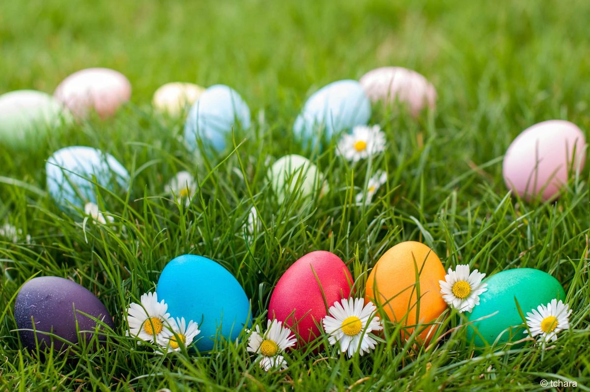 Community Easter Egg Hunt 