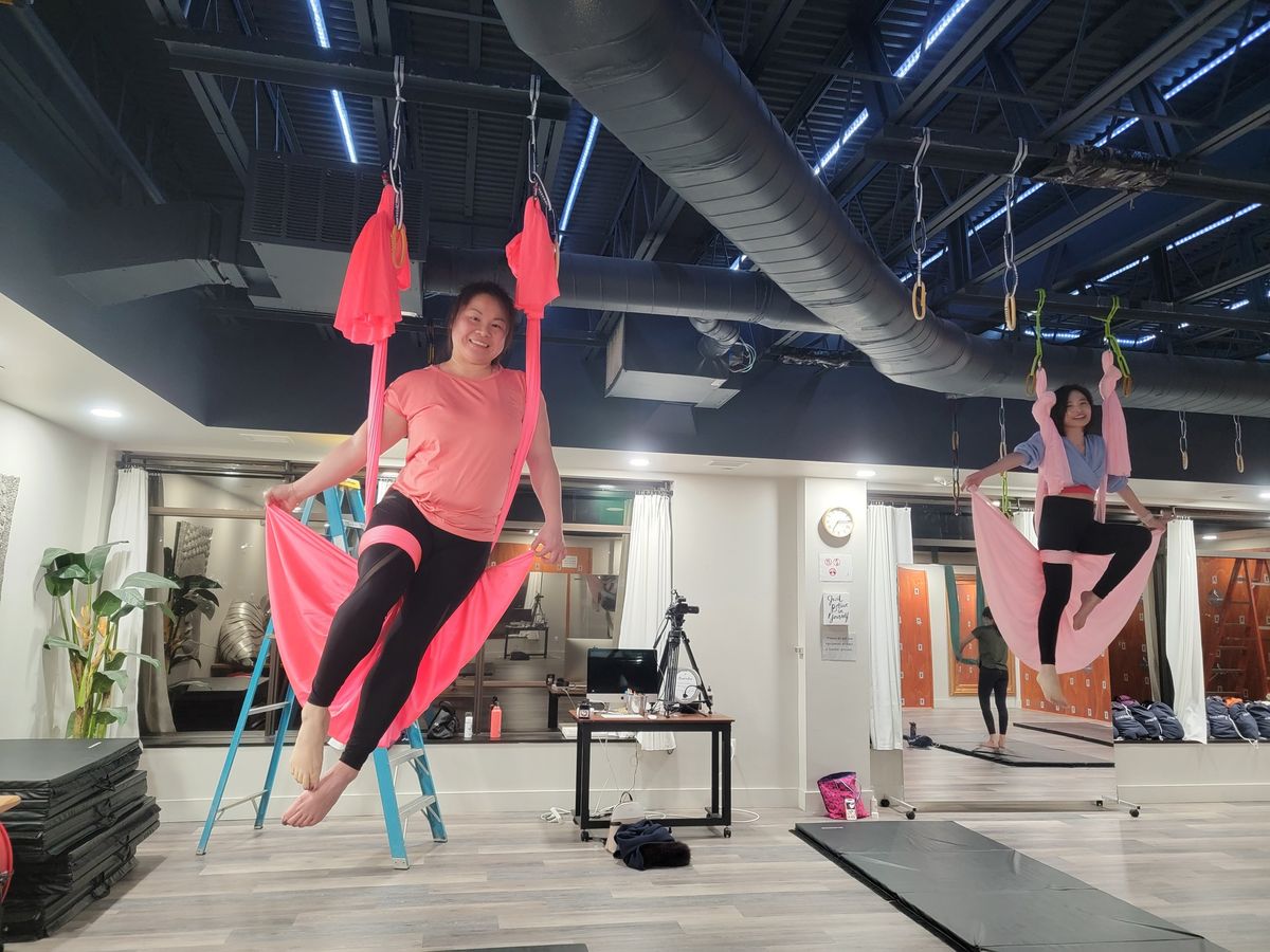 Aerial Arts Hammock Foundations: 4 Week Series