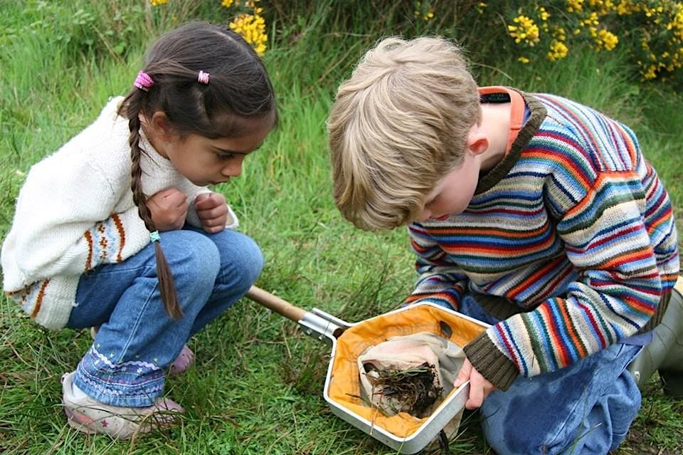 Belfairs Woodland Bug Hunt