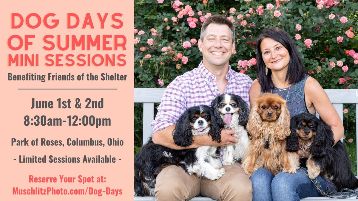 2024 Dog Days of Summer Mini Session Fundraiser