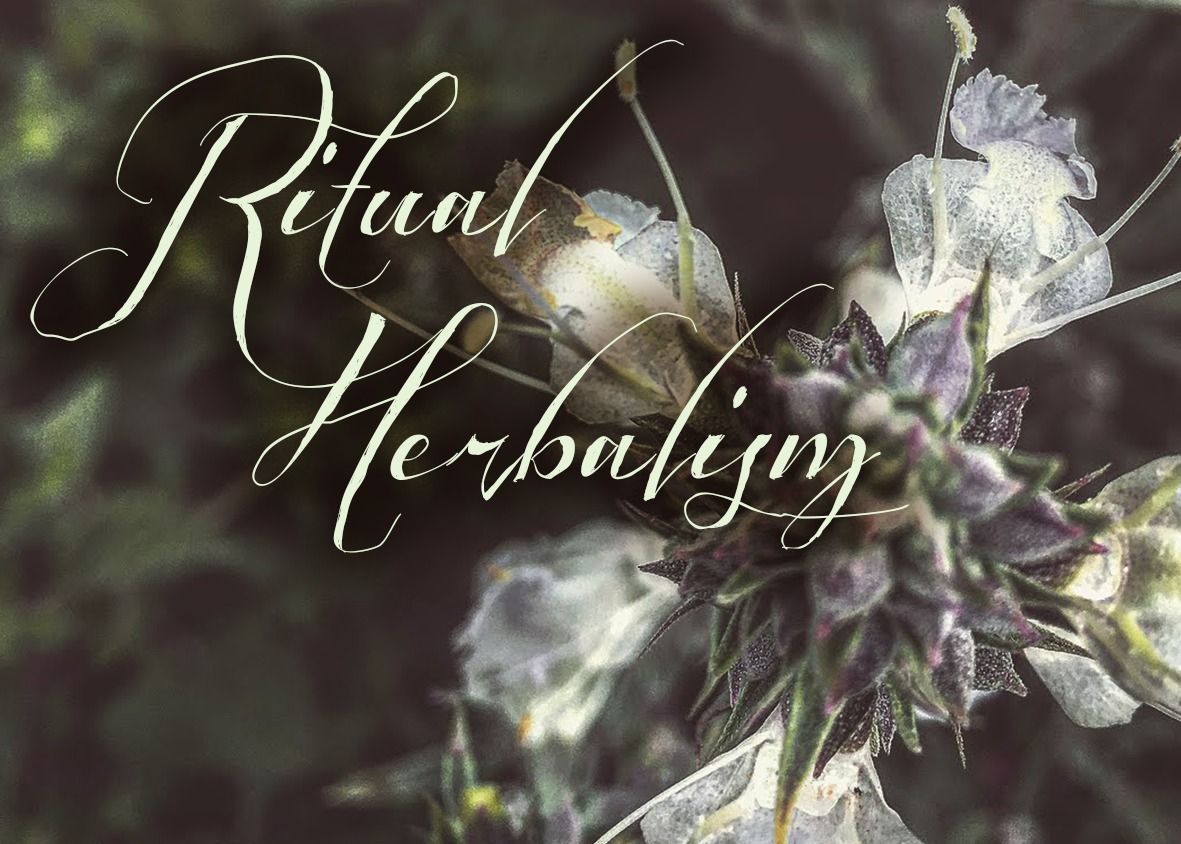 Ritual Herbalism Day Immersion