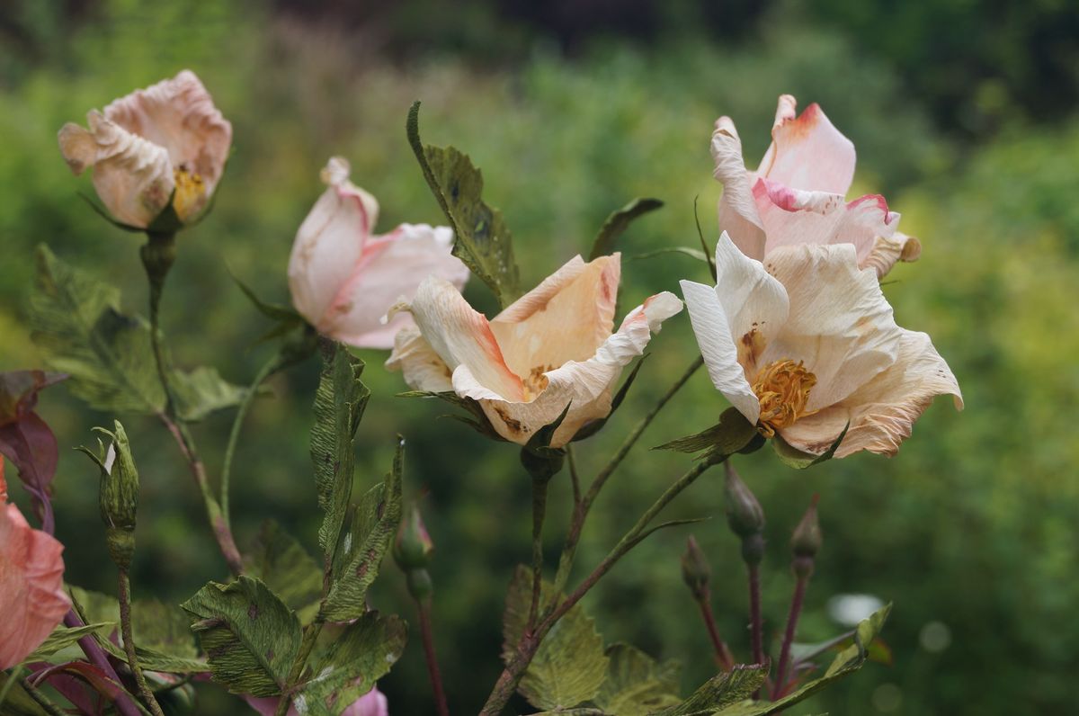 Workshop- make paper roses with Meg from Floragami Paper Flowers