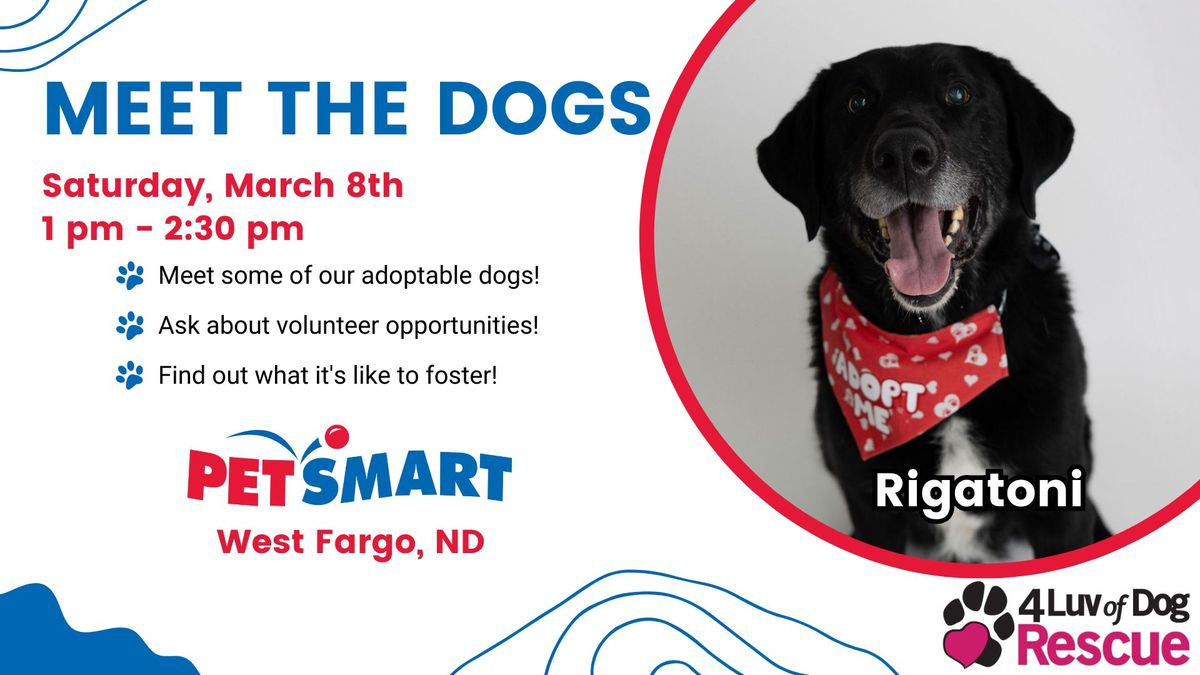 Meet the Dogs at PetSmart