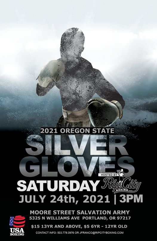 usa boxing silver gloves 2021