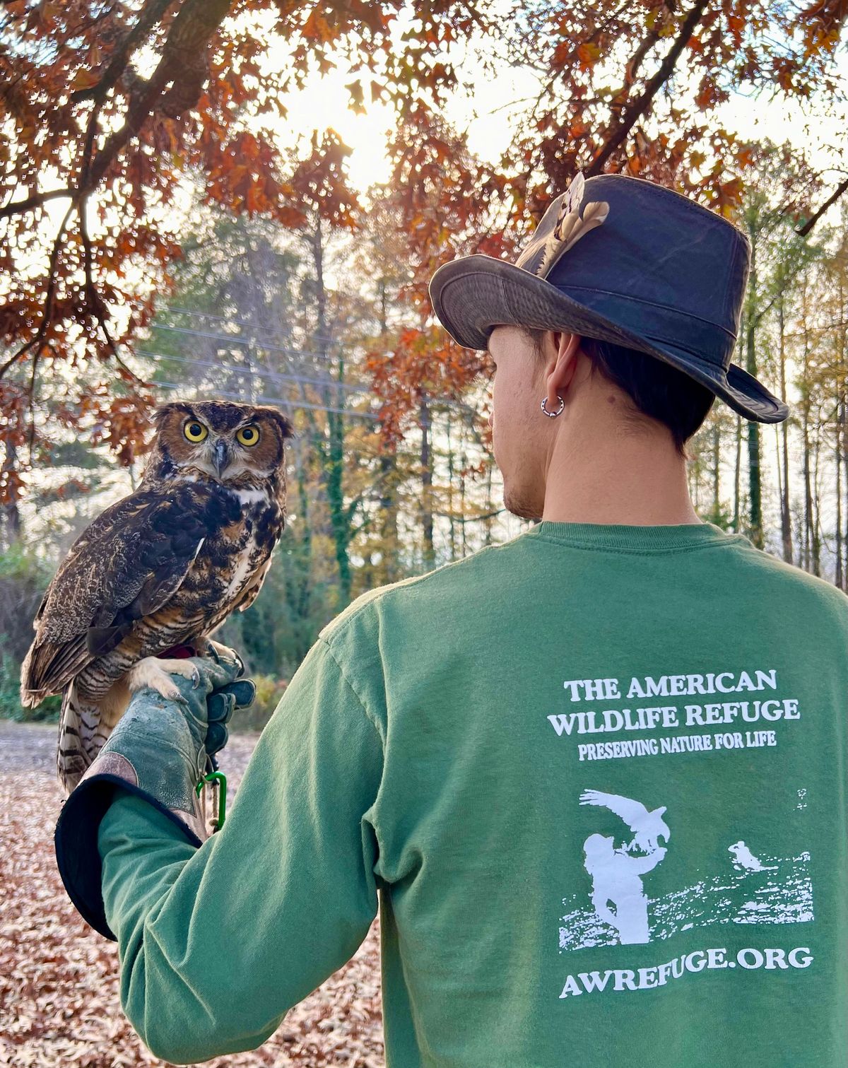 Fall Celebration with Owls