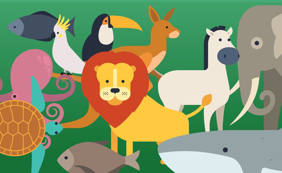 CSS Family Music Series: Carnival of the Animals