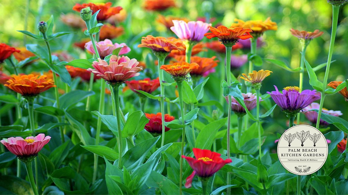 Volunteer in the Garden at Palm Kitchen Gardens