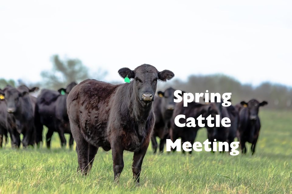 Spring Cattle Meeting 