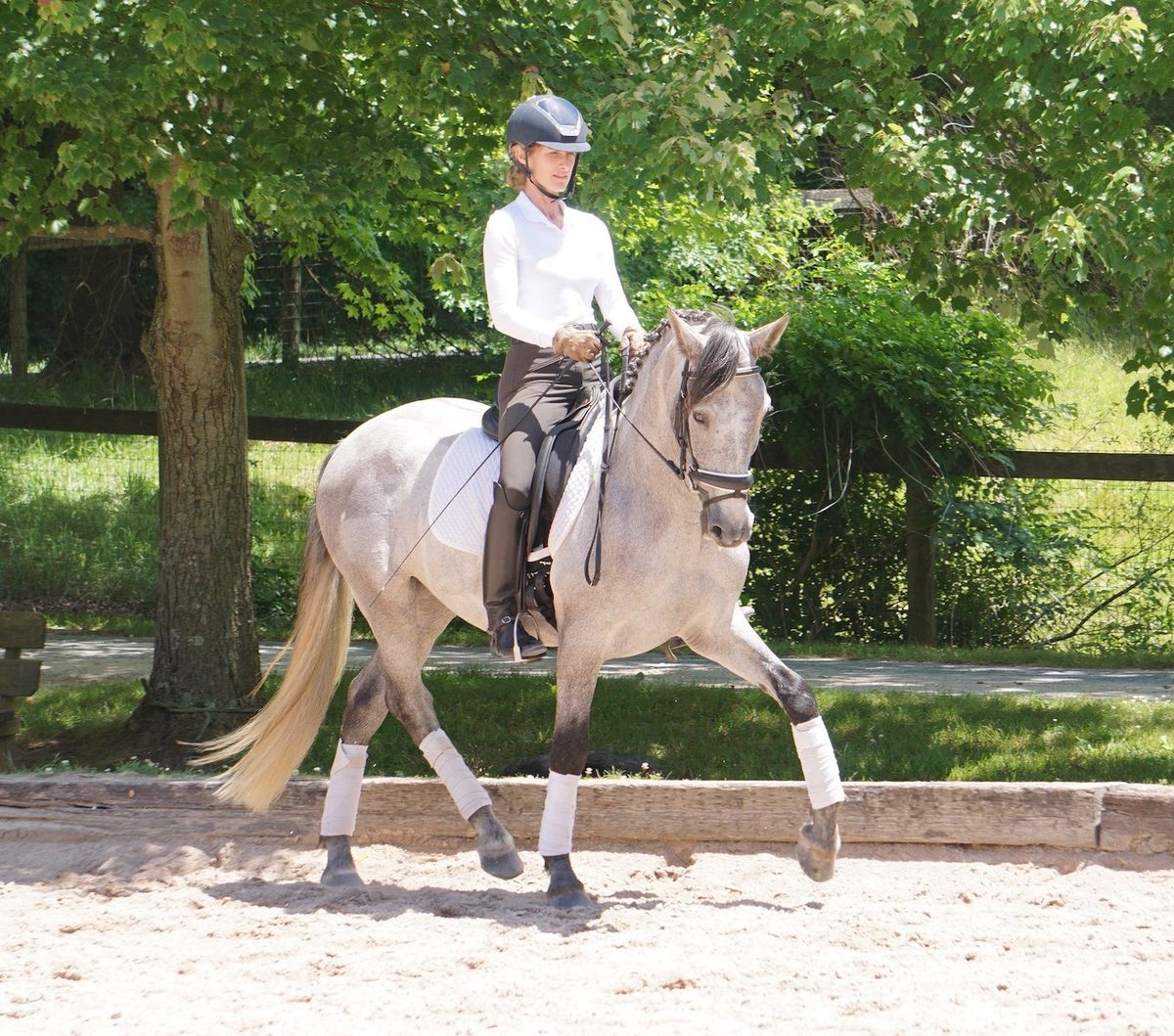 July 6th Lecture\/Demo: A Simple Framework for Dressage