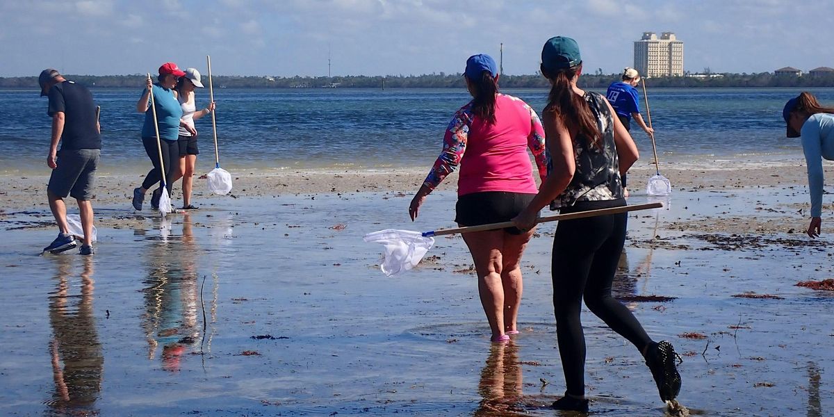 Estero Bay Wading Trip