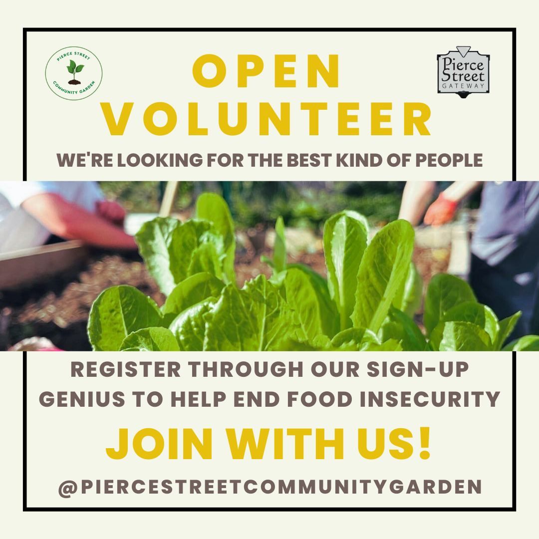 Volunteering at Pierce Street Community Garden