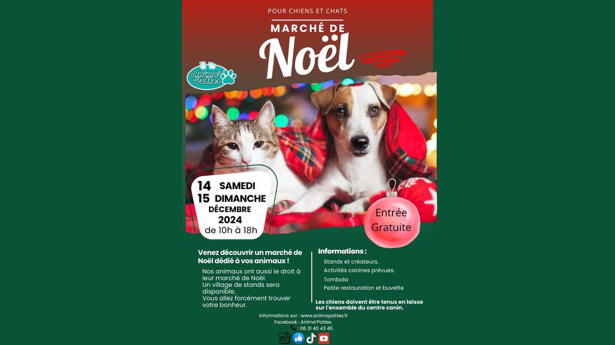 March\u00e9 de No\u00ebl pour chiens et chats