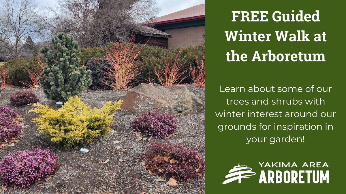 FREE Arboretum Winter Walk - Interesting Color, Shape, and Texture for Winter