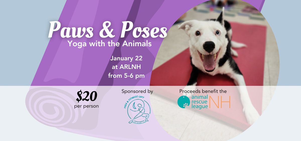 Paws and Poses Yoga with the Animals at the Animal Rescue League of New Hampshire